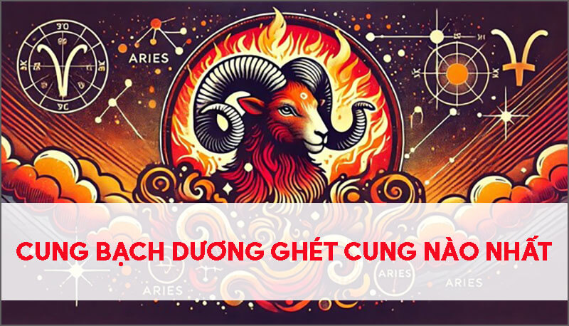 cung-bach-duong-ghet-cung-nao-nhat
