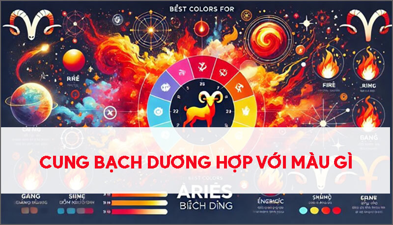 cung-bach-duong-hop-voi-mau-gi