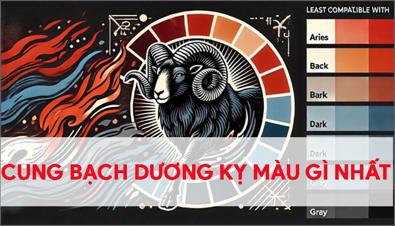 cung-bach-duong-ky-mau-gi-nhat