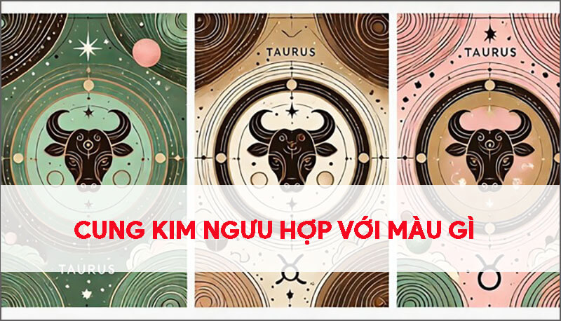cung-kim-nguu-hop-voi-mau-gi