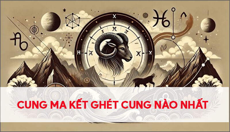 cung-ma-ket-ghet-cung-nao-nhat