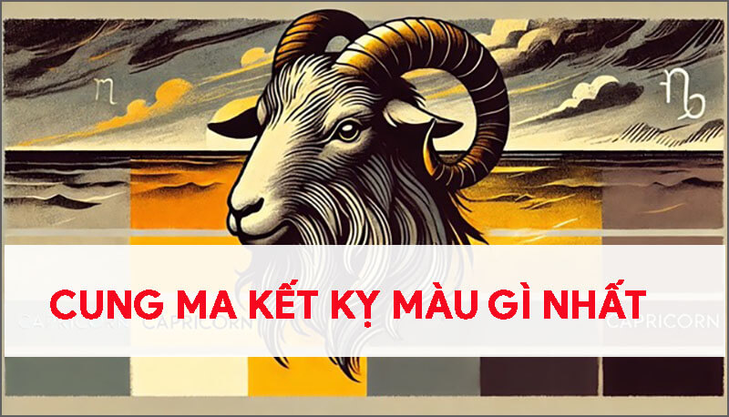 cung-ma-ket-ky-mau-gi-nhat