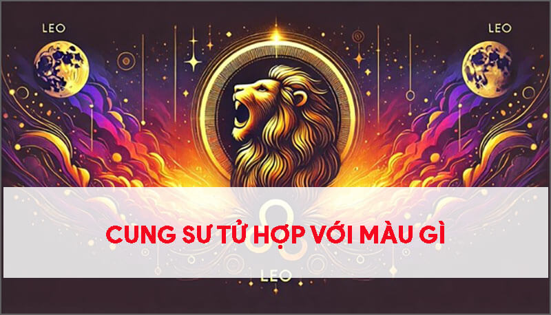 cung-su-tu-hop-voi-mau-gi