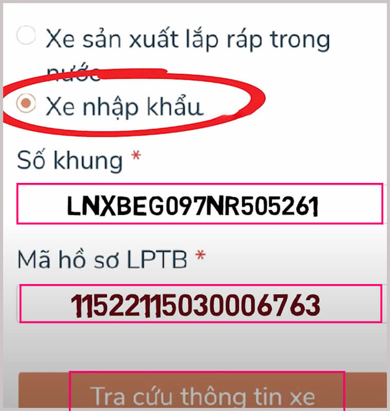 tra-cuu-thong-tin-xe-nhap-khau copy.jpg