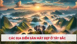 cac-dia-diem-san-may-dep-nhat-o-tay-bac (1).jpg