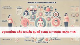 vo-chong-can-chuan-bi-bo-sung-gi-truoc-khi-mang-thai.jpg