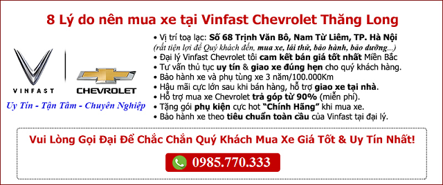 8-ly-do-nen-mua-xe-tai-VinFast-Thang-Long-68-Trinh-Van-Bo.png